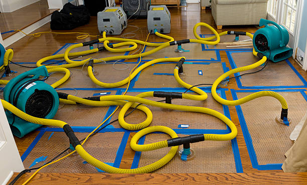 Professional Structural Drying And Dehumidification technician working in Percy, IL